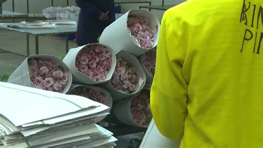Kenya’s flower industry loses millions of dollars weekly due to Iran war