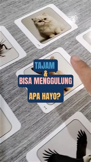 Kartu Belajar ABA-VB Task Analysis LRFFC Level 3 (12f)
