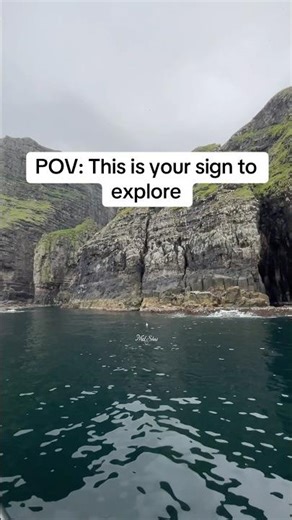 Vestmanna Bird Cliffs, Faroe Islands 🇫🇴🌊🐦#viralshorts #nature #highlights #faroeislands