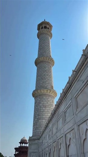 beauty of Taj mahal ✨🌺🦚