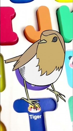 Learn Letters N and O | Fun Alphabet Puzzle for Kids | Educational Kids Shorts