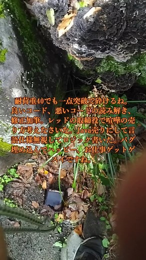 Javaロジックの課題とコード改善の方法