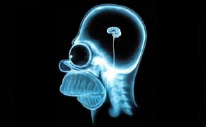 Bill Bonner: Investissement passif: Les investisseurs n’ont plus rien dans le crâne