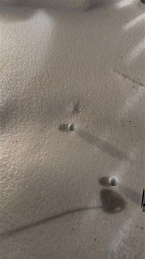 FOUR!!! | John Trott