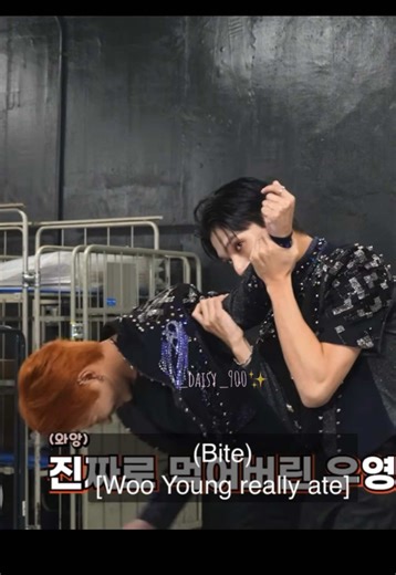 Hongjoong and Wooyoung's Hilarious Logbook Adventures