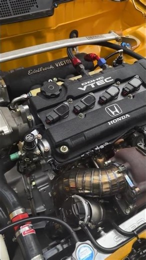 Yellow B16 Turbo Black Top 💛🖤1.6L DOHC VTEC