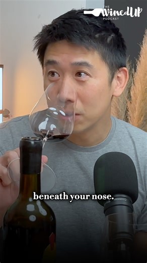 👃How to Smell Wine Like a Pro🍷