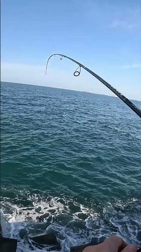 Spinning de altura 🤣NUEVA modalidad DESBLOQUEADA #spinning #fishing #pesca