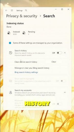 Stop Web Results for Faster Performance! ✅ (500+FPS)