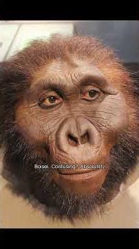 Paranthropus boisei