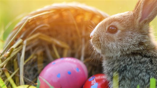 List | Events to celebrate Easter season