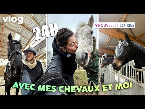 A new chapter for Sligo, and news about my dressage horses (vlog)