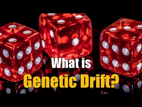 Genetic Drift