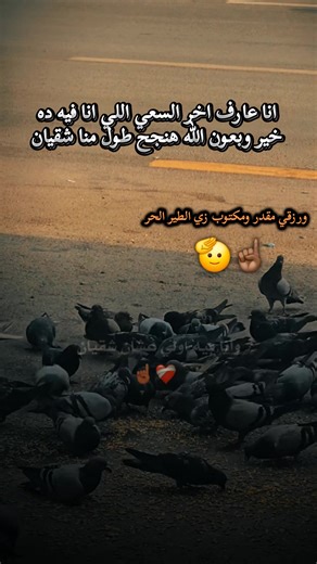 قصص التوفيق والإصرار في الغربة