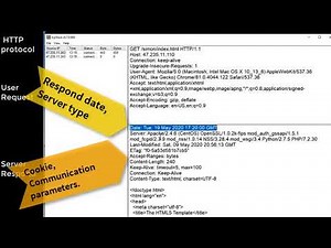 Demonstrate HTTP protocol and how values pass between HTML page and CGI program