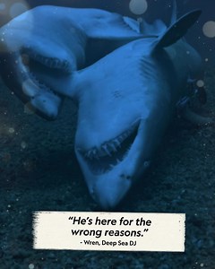 National Geographic Animals on Reels