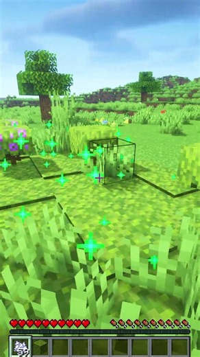 🌿 What Happens When You Use Bone Meal on Moss?! 😲 | Minecraft
