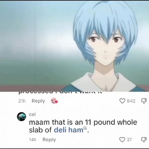 is this ham processed? #meme #anime #funny #evangelion