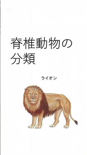 スキマ時間で覚えよう【脊椎動物の分類】