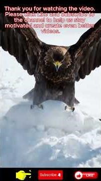 Monster Predators Ferocious Battles Beyond Human Imagination