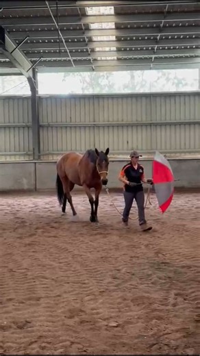 25 reactions | We do more than just riding lessons at Oakwood! We...