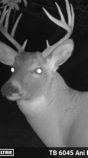 188K views · 103 reactions | This is why you set video mode to 15 seconds and not 10 seconds  | Ani-Logics Outdoors | Facebook