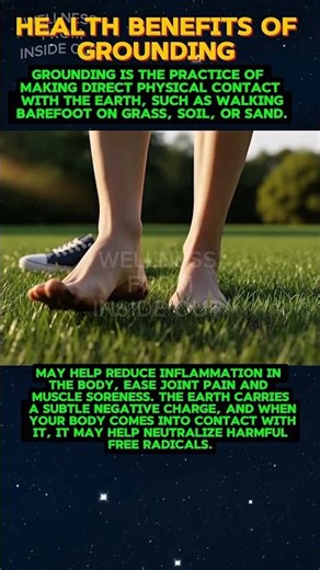 The Hidden Healing Power of Grounding . Earthing Explained . #wellnessfrominsideout