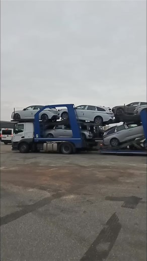 samuel Rodrigues on TikTok