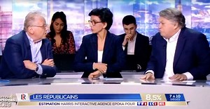 Gilbert Collard et Daniel Cohn-Bendit s’insultent en plein direct : "con*ard", "ignoble ordure"