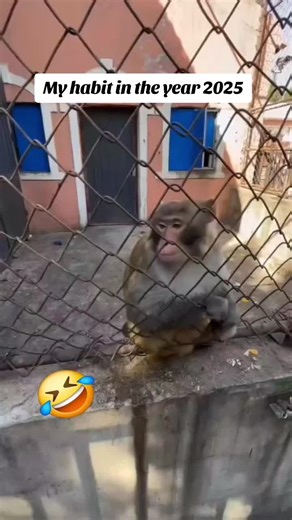 Matthew 11:12, which says,