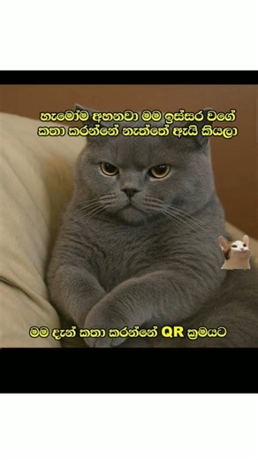 😁😁ඉහි🤣🤫😌ඉහි😌😌😌😌😌ඉහි😌😌😌😌😌😌😌ඉහි #srilanka #comadin #viral #funny #memes #athalvideo 😌😌😌😌😌