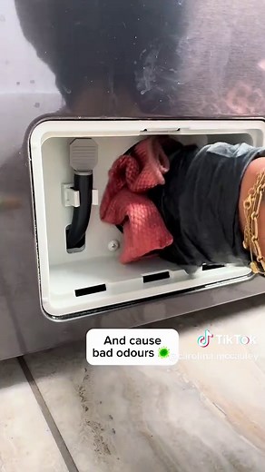 Essential Washing Machine Cleaning Tips for Homeowners