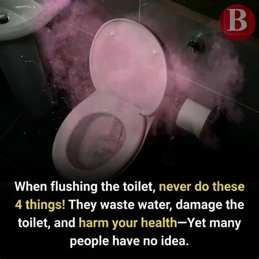 31K views · 56 reactions | Today, let’s explore 4 mistakes to avoid when flushing the toilet so you can use it more efficiently, save water, and protect your health. | BNews | Facebook