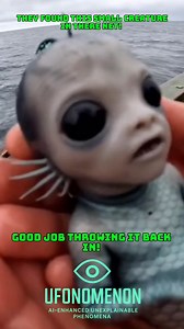 What is this creature? It’s quite cute! #mermaid #siren #horror #scary | Ufonomenon