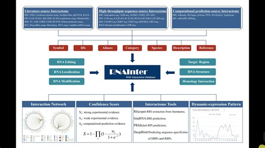 第一节：RNAInter-RNA互作组研究利器(RNA编辑/定位/修饰/结构等分子信息、RNA互作网络、RNA表达可视化、预测服务)