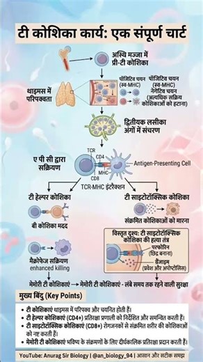 T-Cell Immunity Masterclass: From Thymus Education to Cellular Battle #anuragsirbiology #viral
