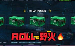 【网站开箱】搏一搏，单车变摩托(roll野火)