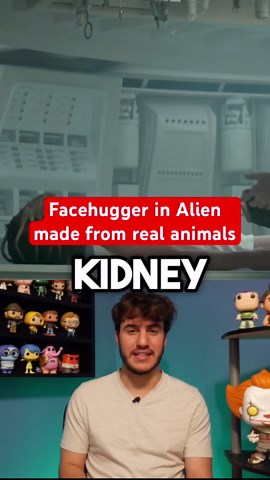 Facehugger In Alien Made From Real Animals