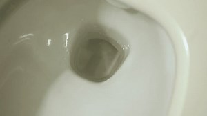 Top View Toilet Flushes Water Water Stock Footage Video (100% Royalty-free) 3551147103 | Shutterstock