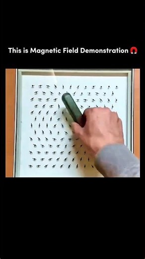 This is magnetic field demonstration 🧲#science