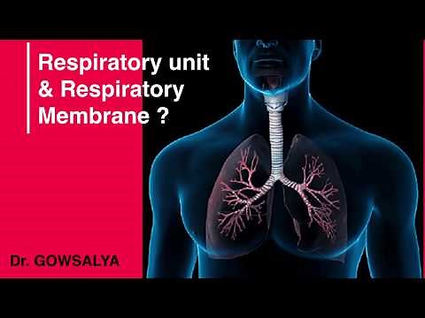 What is respiratory unit and respiratory membrane | Respiratory Physiology | General Medicine