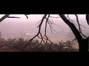 The.Day.of.the.Triffids