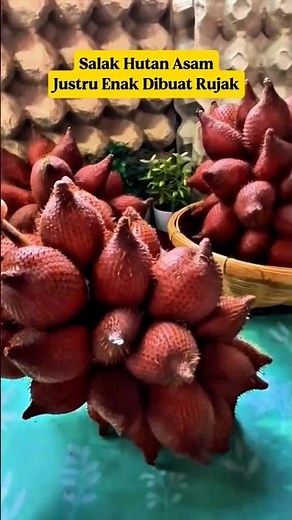 Wild Snake Fruit Isn't Sweet⁉️ The Shocking Truth About Forest Salak‼️