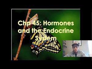 AP Biology- Chapter 45 Lecture: Endocrine System