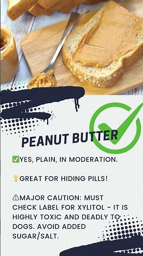 Can your dog eat Peanut Butter? Your question answered by a Veterinarian at I Love Veterinary