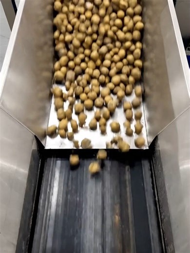 Inside a Modern Factory #industrialfoodprocessing #insidethefactory #howfoodismade