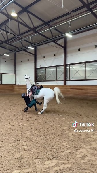 Incredible Horse Tricks with a Clumsy Rider