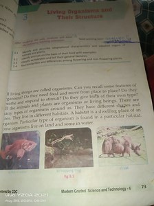 Identify and describe adaptational characteristics and adapted ... | Filo