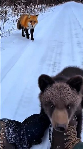 A Cry in the Wild — And a Life Was Saved 🐻🌲✨ #animalrescue #animals #bear #wildlife