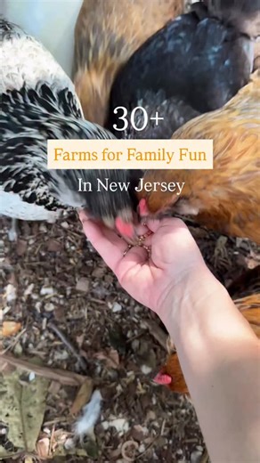 1.9K views | FALL FARMS IN NJ   SHARE & SAVE for the best farms for...
